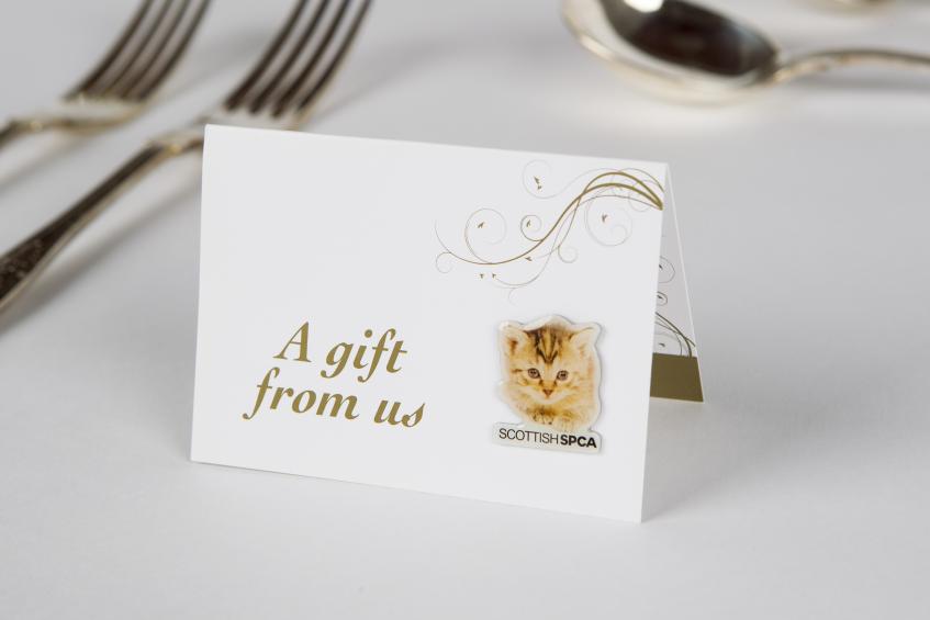 Kitten Gold wedding favours card