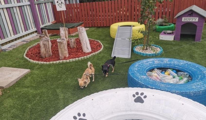dogs enjoy the sensory garden