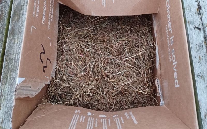 Image showing the inside of a Hello Fresh box lined with hay