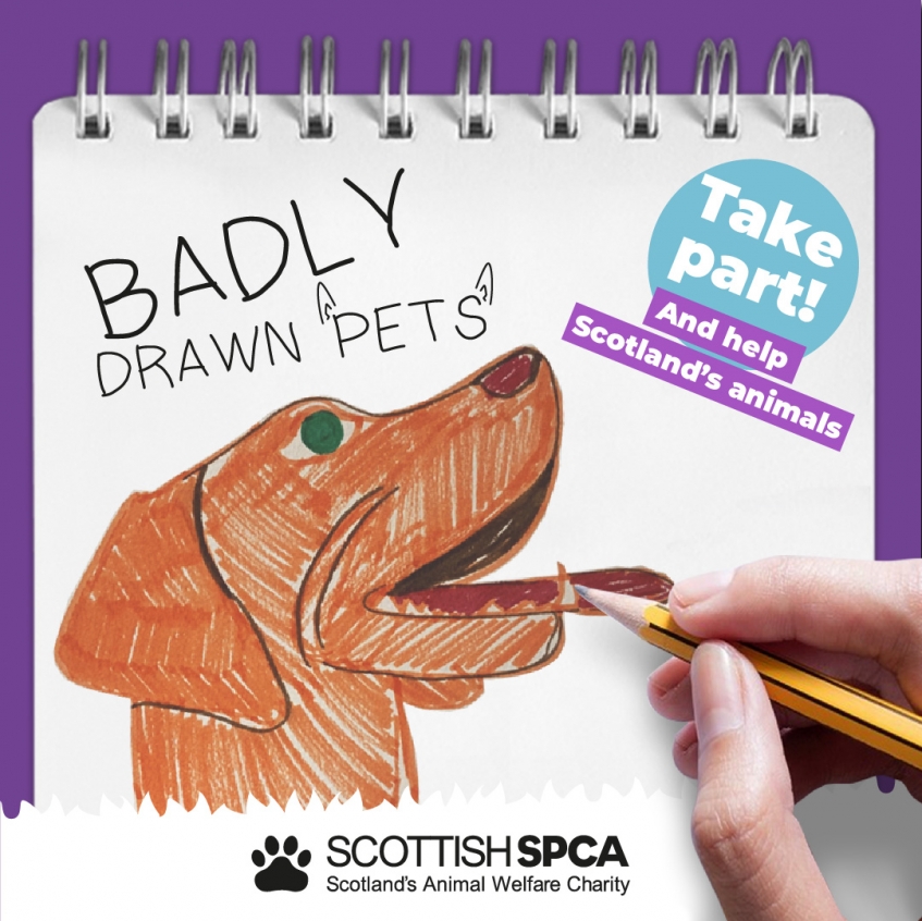Badly Drawn Pets returns | SSPCA