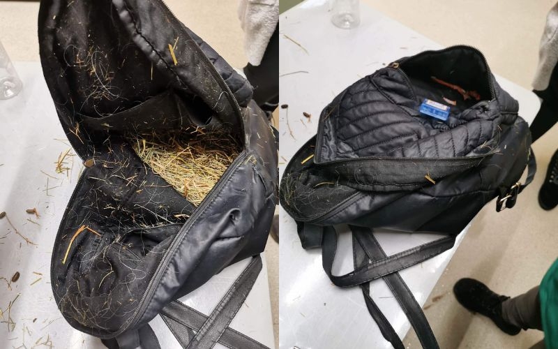 two photos of a black bag from different angles, one showing hay in the bottom of the bag