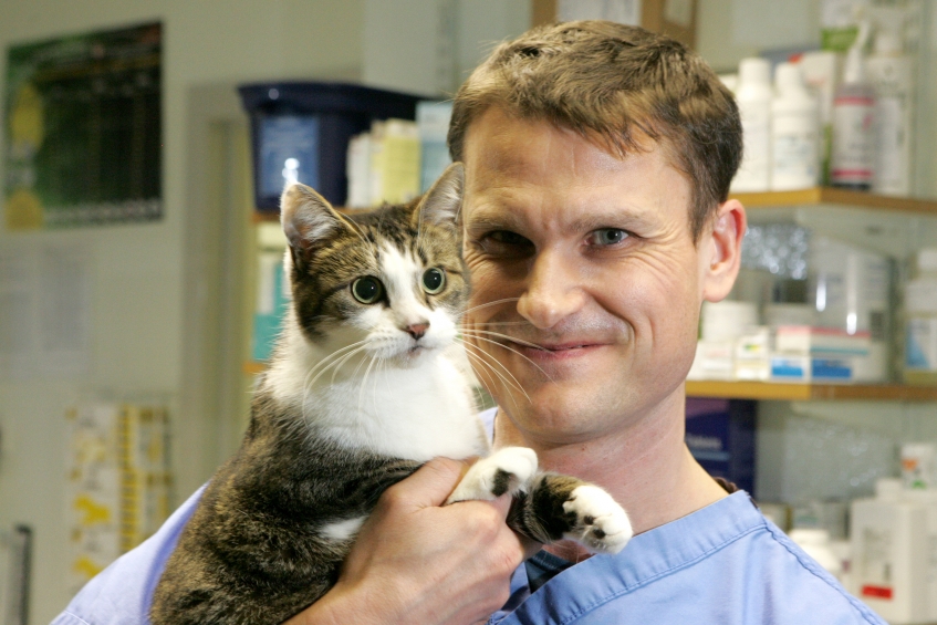 chief veterinary officer Ian Futter holding a tabby and white cat