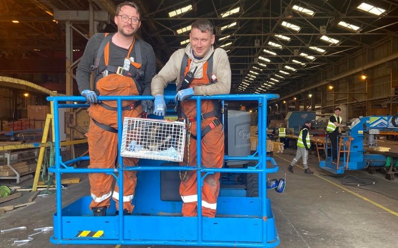 two warehouse workers on cherry picker with cat in cage