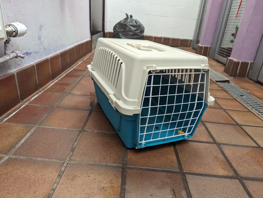 a blue and white empty cat carrier sitting on the floor of a kennel block