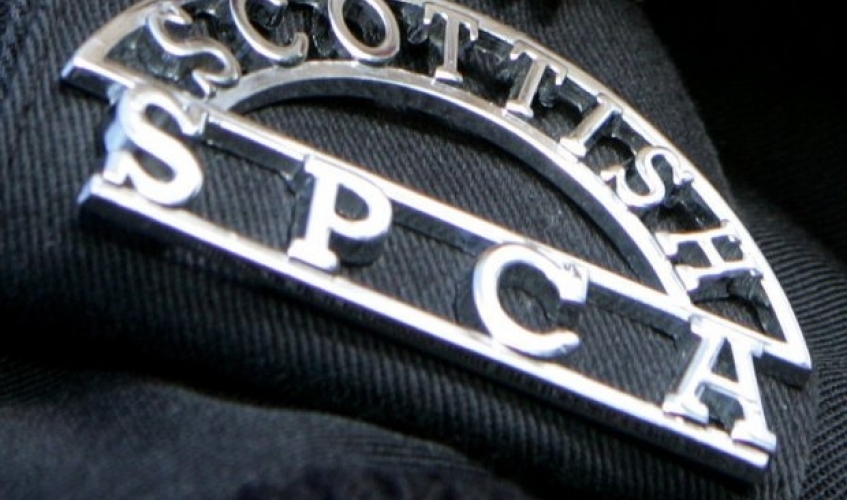 Scottish SPCA inspector badge