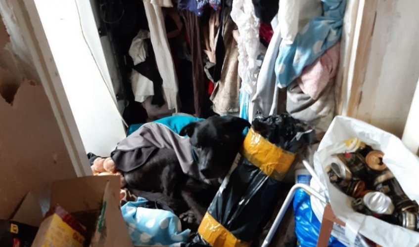 a black dog lies curled up among rubbish bags and clutter