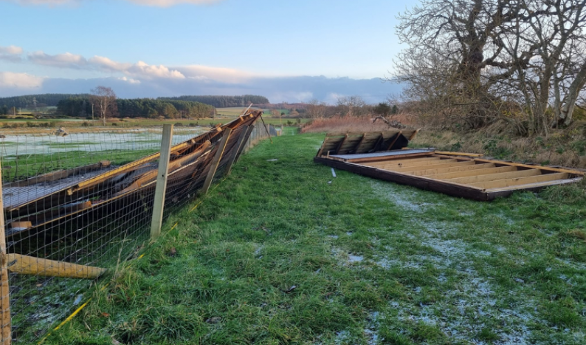 Horse shelters destroyed in a field