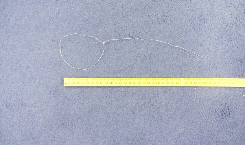 A wire snare next to a tape measure