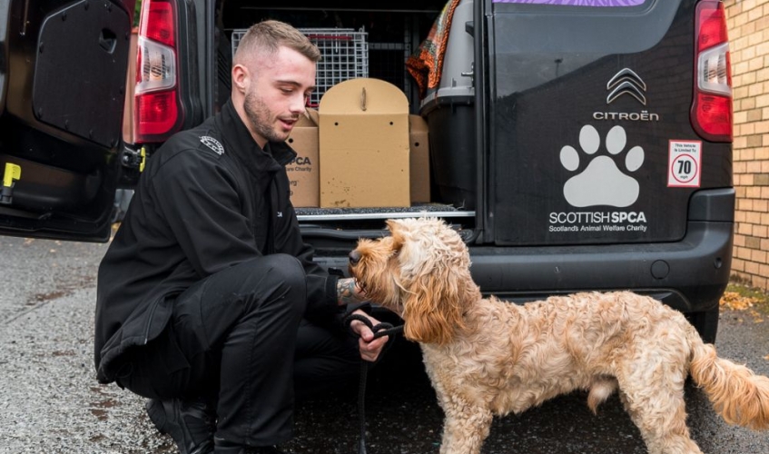 Scottish SPCA inspector crouching down next to a dog