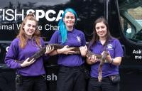 3 members of staff holding a snake