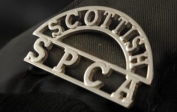 The Scottish SPCA has confirmed it will open a voluntary severance scheme for colleagues from Tuesday 2nd December.