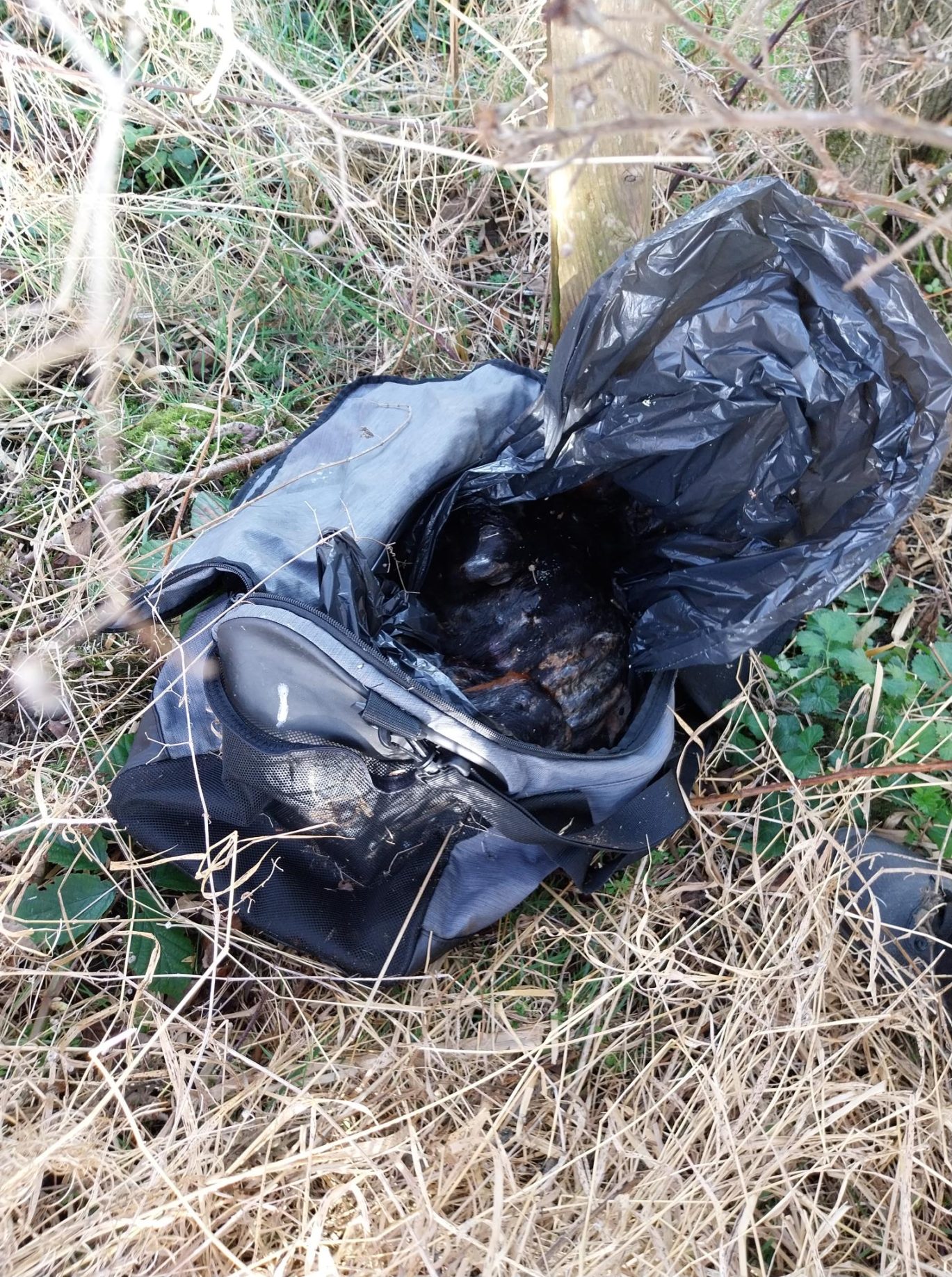 Bag with dead dog inside