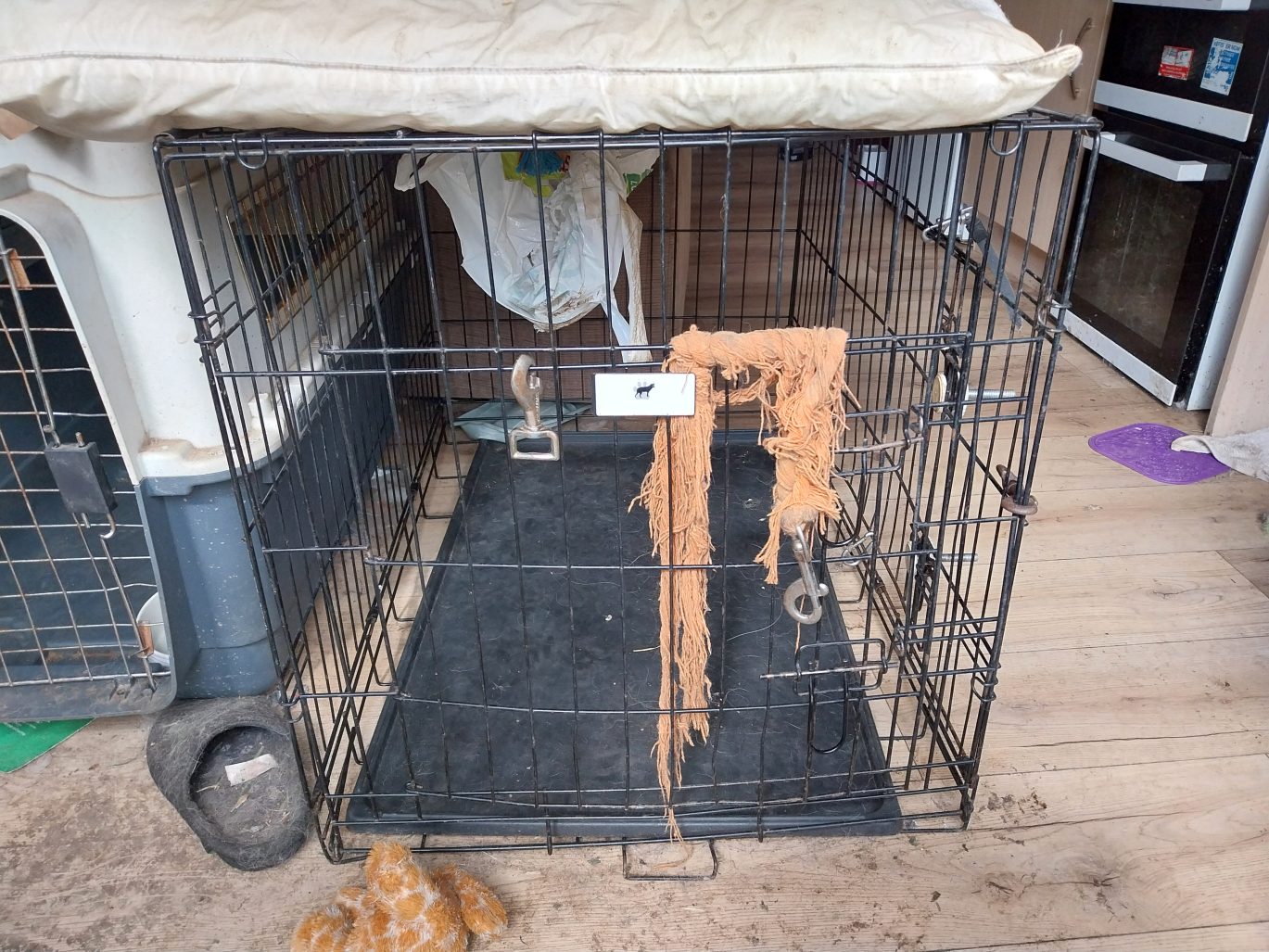 cage the dogs were kept in