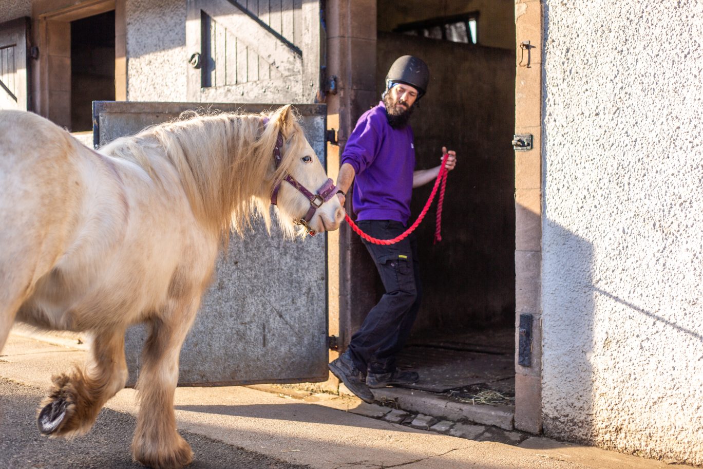 Horse and Scottish SPCA handler image for webpage for advice and care of horse