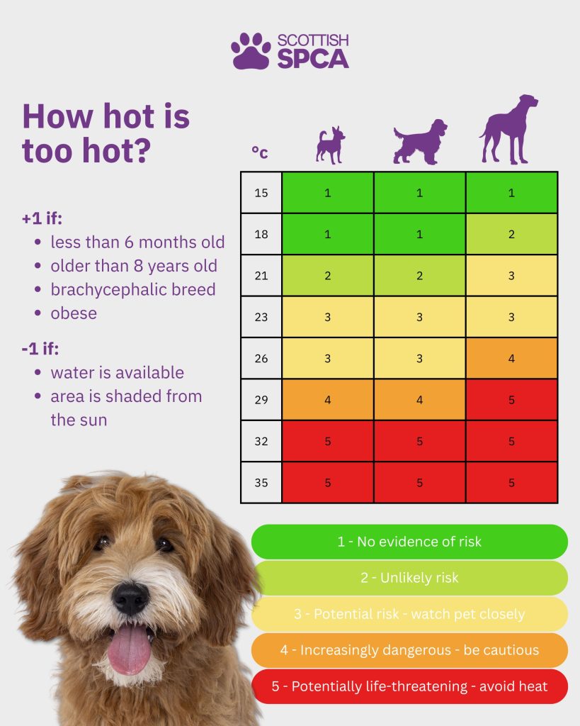 An image of the chart for the "How hot is too hot" campaign to urge people to think twice before walking their dog during the heatwave.