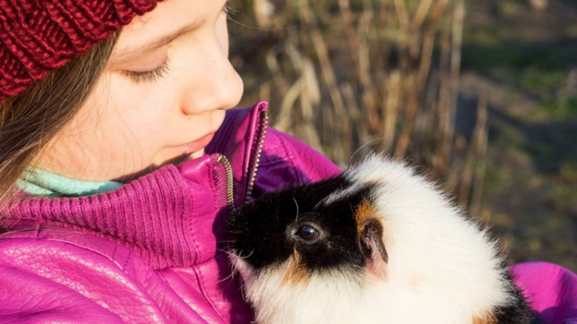 Image of girl holding guinea pig for Animal Guardian article.