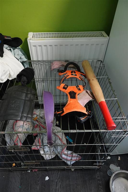 Picture of metal cage with harness, purple dog collar and wooden bat found as part of the Dysart case.