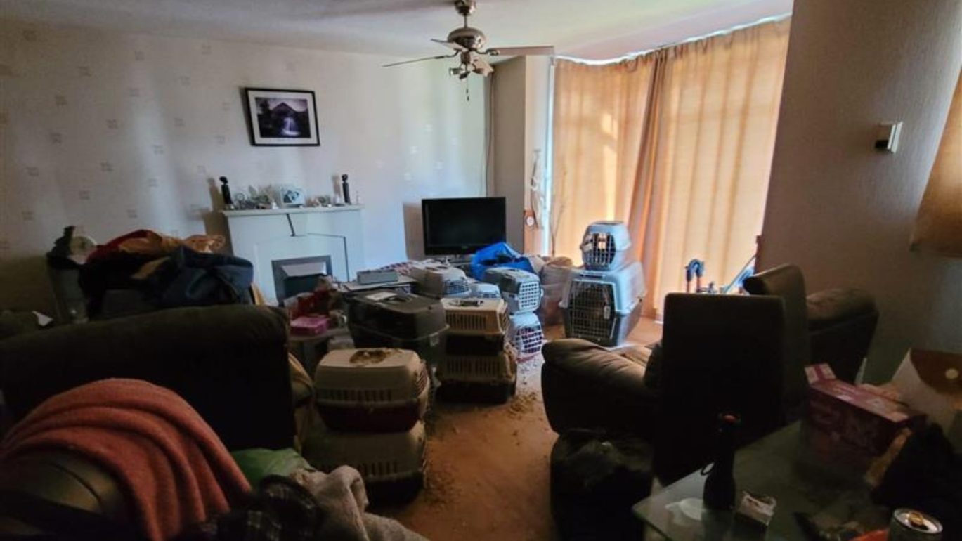 Picture of crowded living room in Greenock