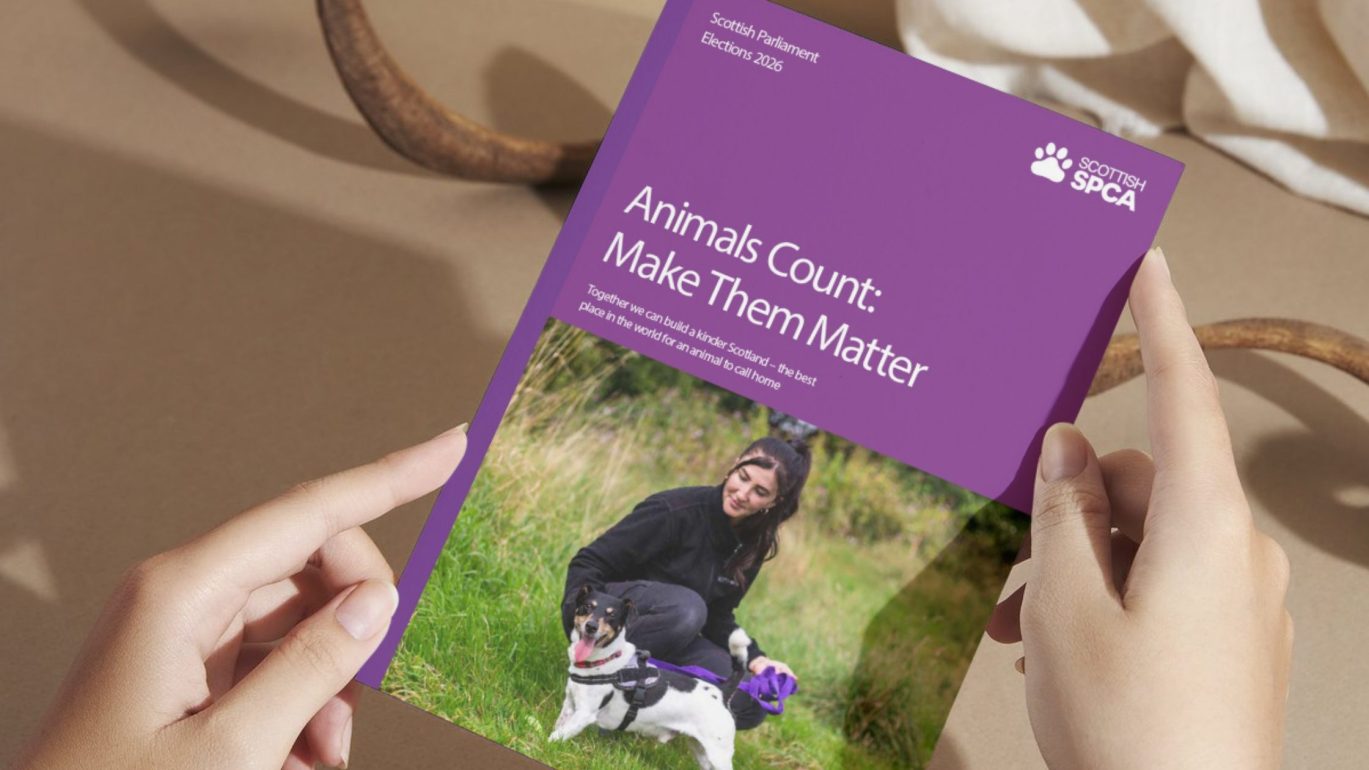 Person holding manifesto print.