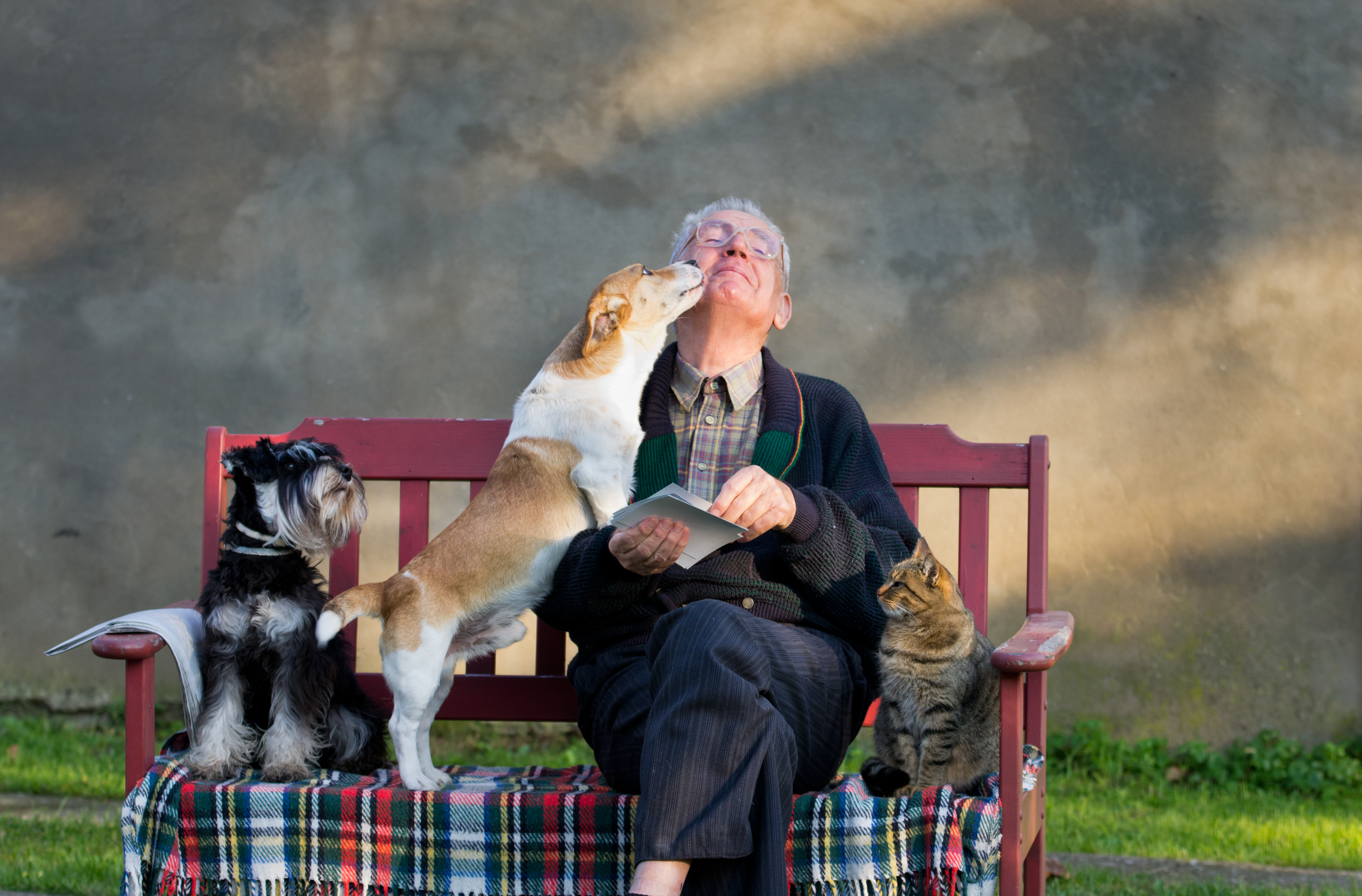 Senior man with dogs and cat on his lap on bench