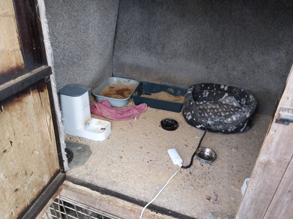 A photograph of the inside of the property, in which there appears to be diarrhoea.