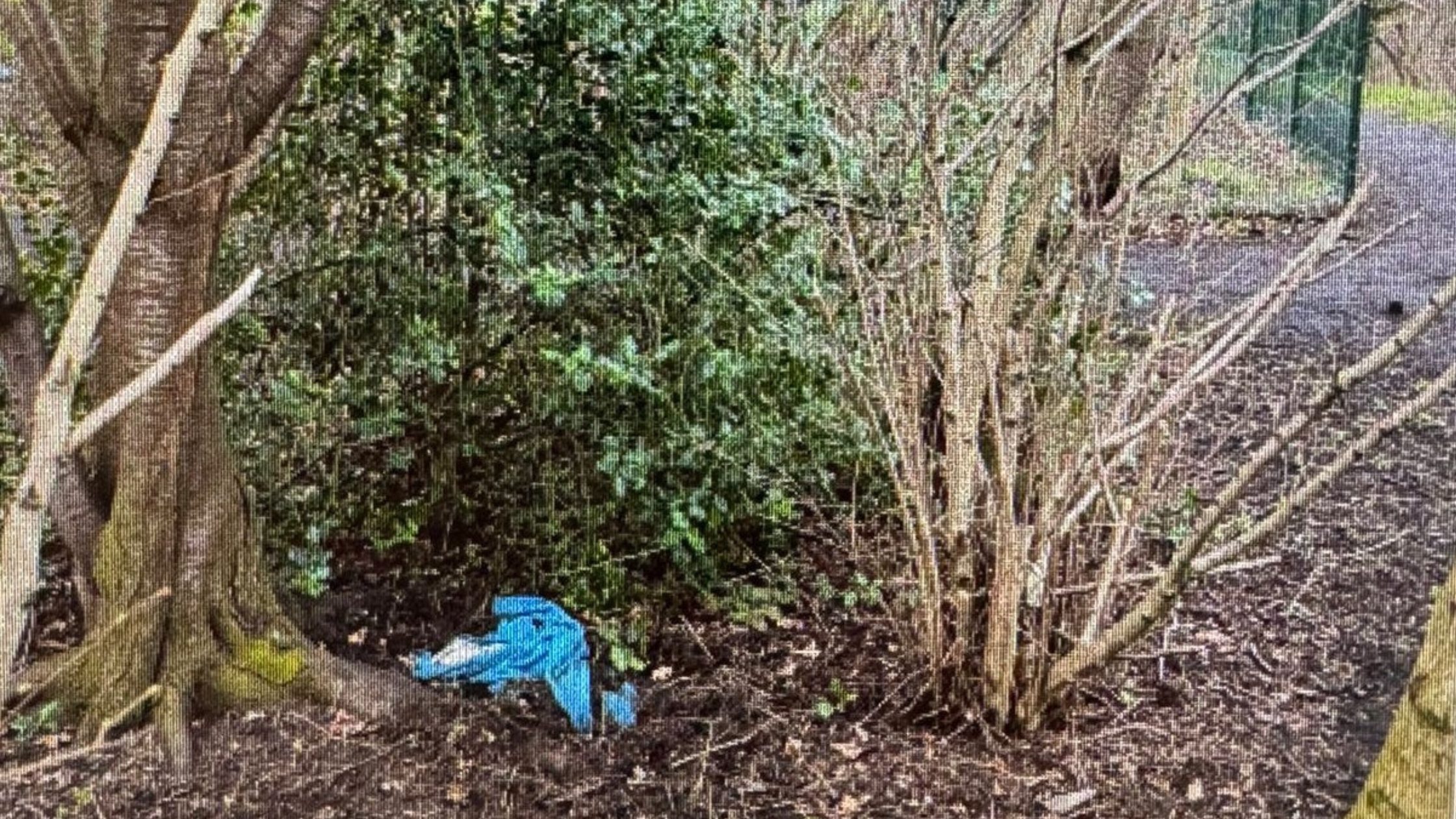 Photo of dead dog found in Edinburgh Park
