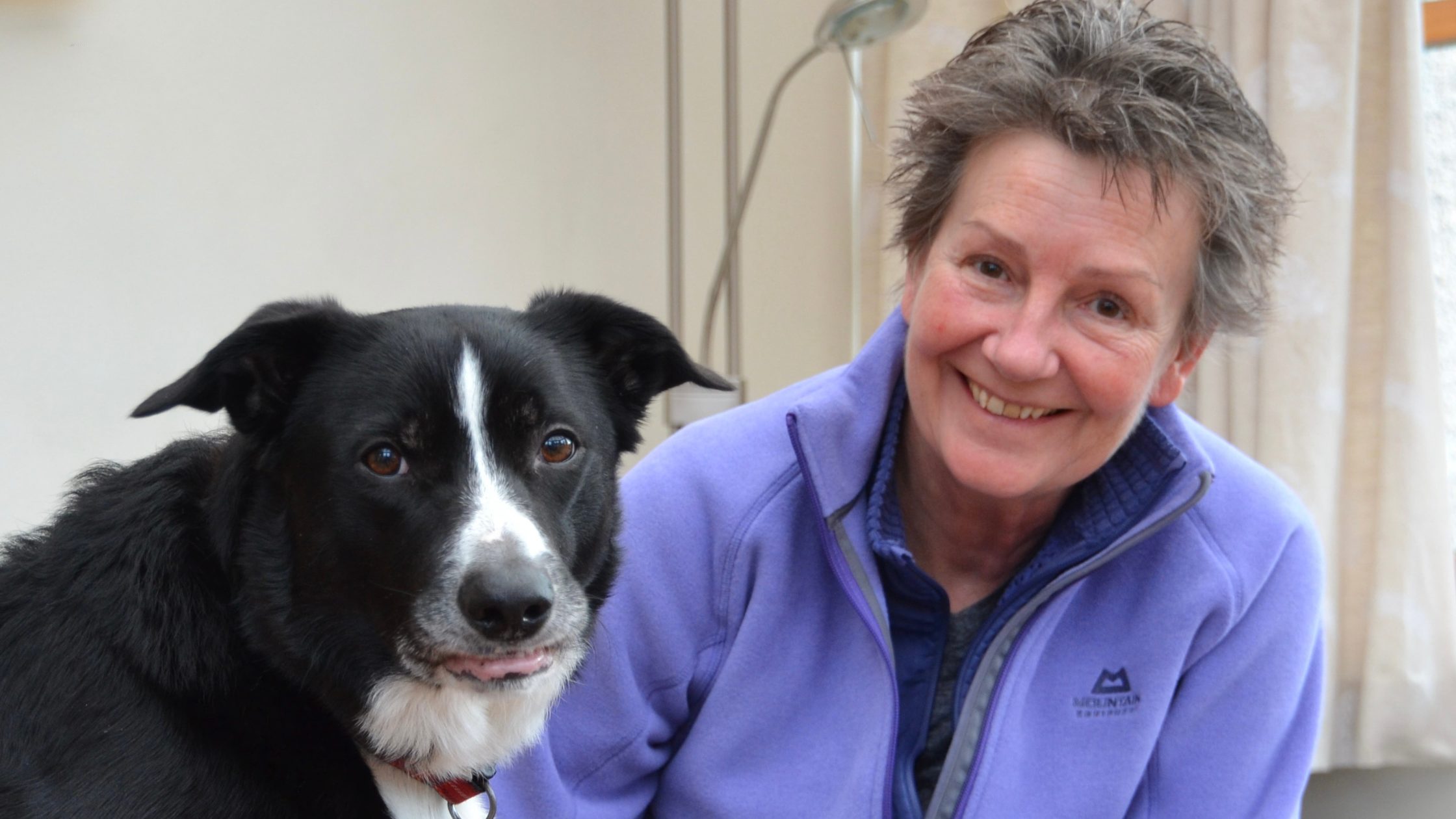 A dog and the new Chair for the Scottish SPCA